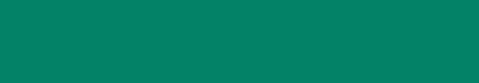 plain green banner